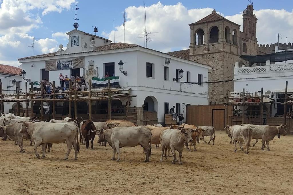 El Zarzal De Segura Villa Segura de León Dış mekan fotoğraf